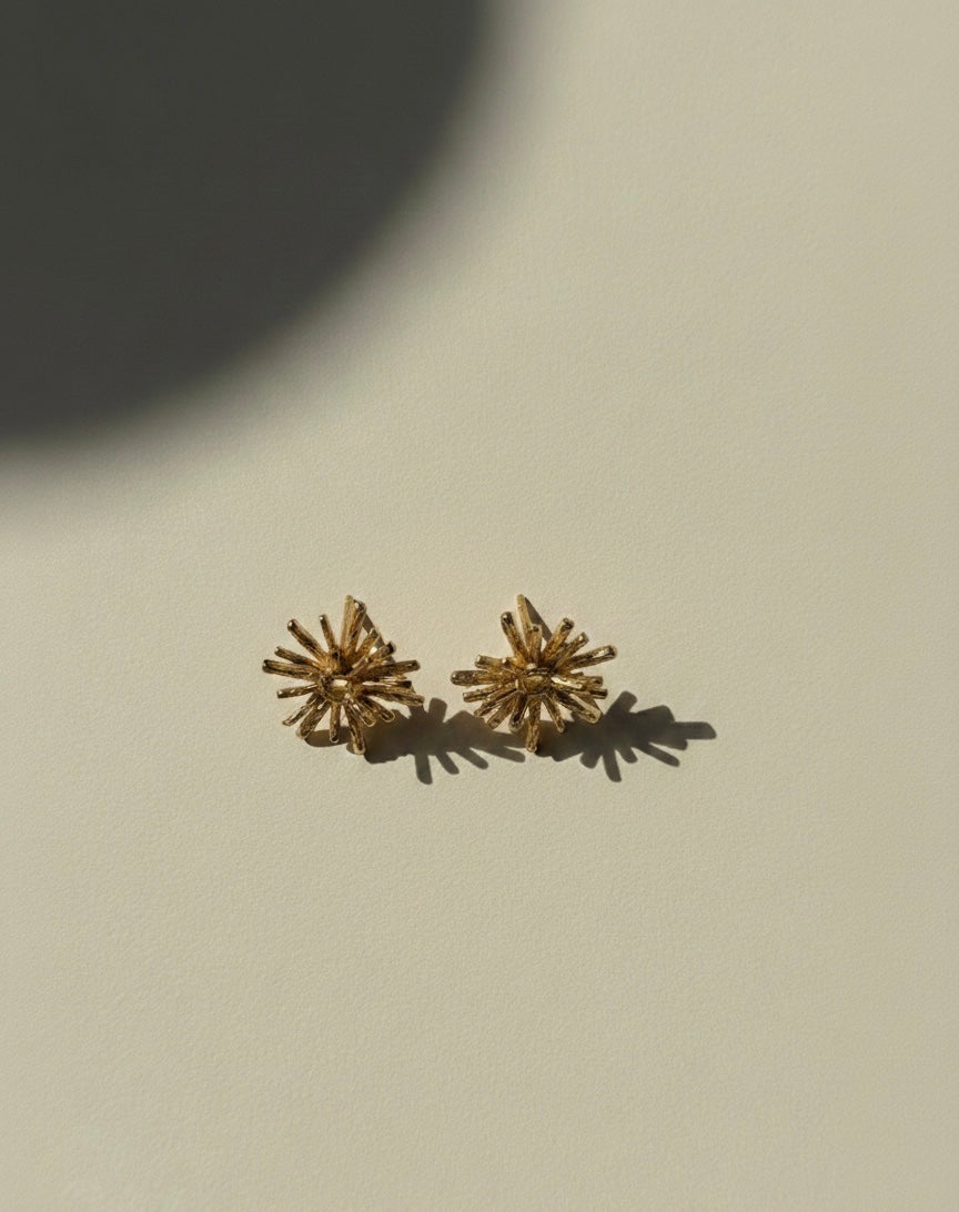 Boucle d'oreille Suaren